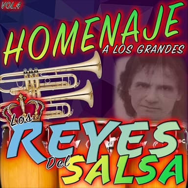 Homenaje a los Grandes, Vol. 4