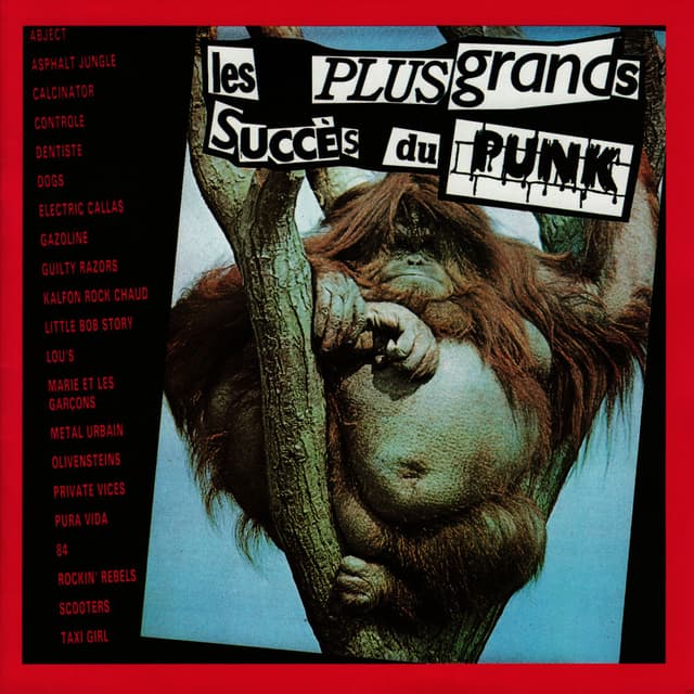Les Plus Grands Succes du Punk