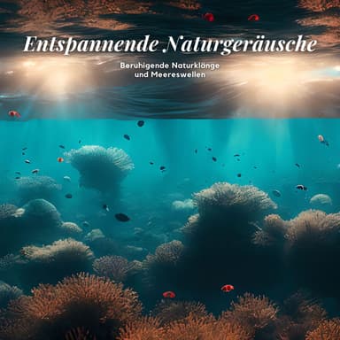 Entspannende Naturgeräusche: Beruhigende Naturklänge und Meereswellen