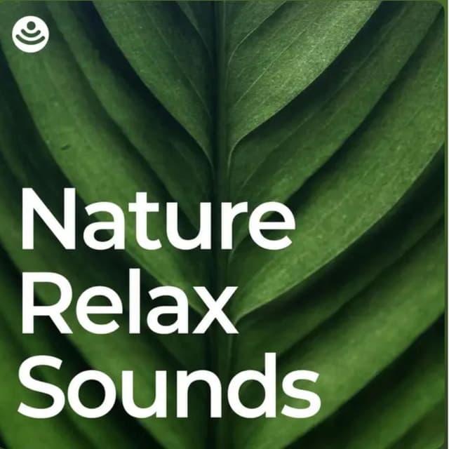 Relaxing Nature Sounds - No Fade, Loopable