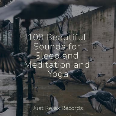 100 Beautiful Sounds for Sleep and Meditation and Yoga
