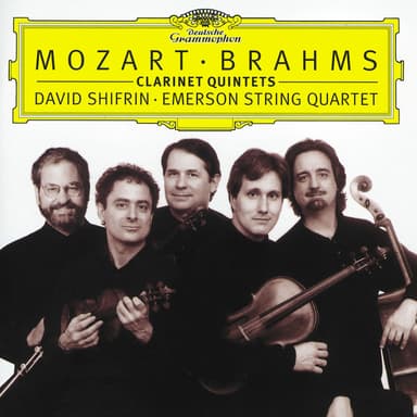 Clarinet Quintet in B Minor, Op. 115 : Brahms: Clarinet Quintet in B Minor, Op. 115: III. Andantino - Presto non assai, ma con sentimento
