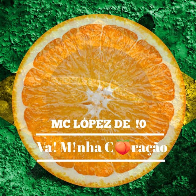 VAI MINHA CORAÇÃO