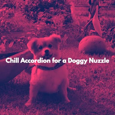 Chill Accordion for a Doggy Nuzzle