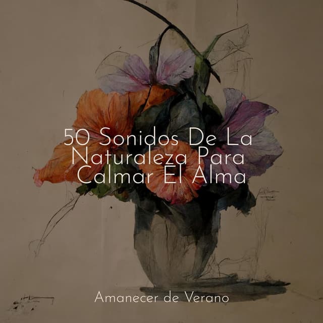 50 Sonidos De La Naturaleza Para Calmar El Alma