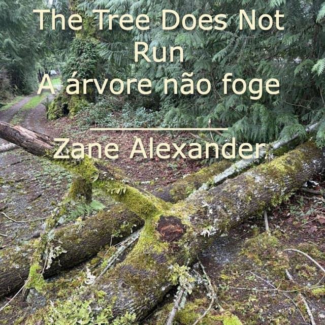 A árvore não foge/The Tree Does Not Run