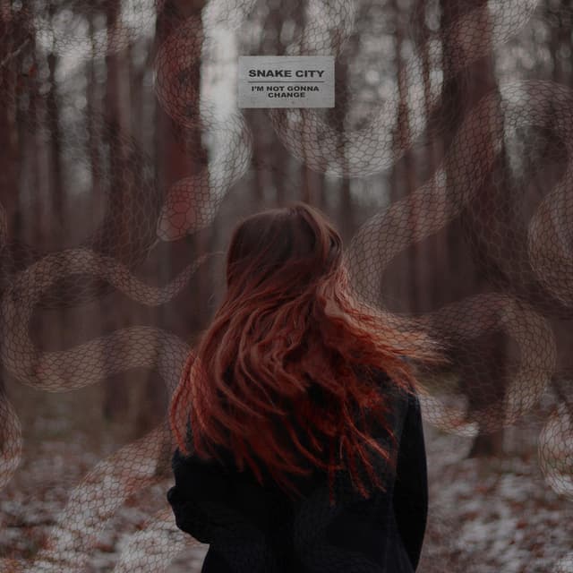 I'm Not Gonna Change