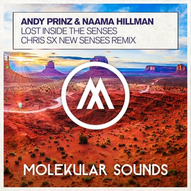 Lost Inside The Senses (Chris SX New Senses Extended Mix)