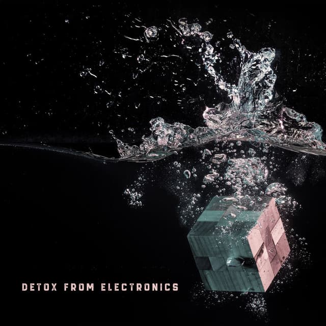 Detox from Electronics: Turn Off All Distractions, Turn On This Relaxing Music, Sit Down Comfortably and Indulge in the Pleasures