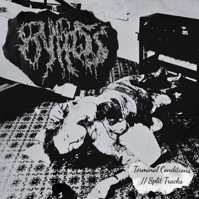 Terminal Conditions//Split Tracks