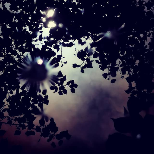 Leaflight