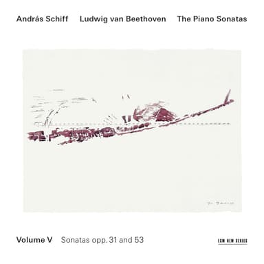 Piano Sonata No. 17 in D Minor, Op. 31 No. 2 "Tempest" : Beethoven: Piano Sonata No. 17 in D Minor, Op. 31 No. 2 "Tempest": III. Allegretto (Live at Tonhalle Zürich, 2005)