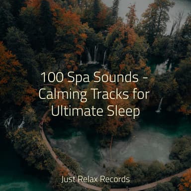100 Spa Sounds - Calming Tracks for Ultimate Sleep