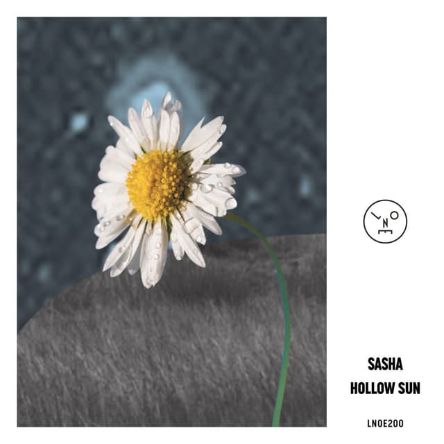 Hollow Sun