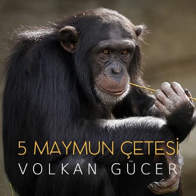 Monkey's Salted Coffee