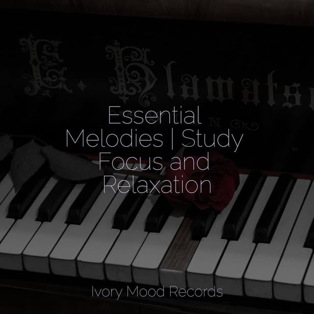 Essential Melodies | Study Focus and Relaxation