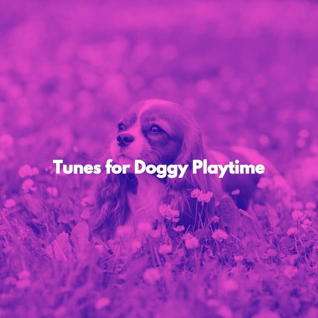 Tunes for Doggy Playtime