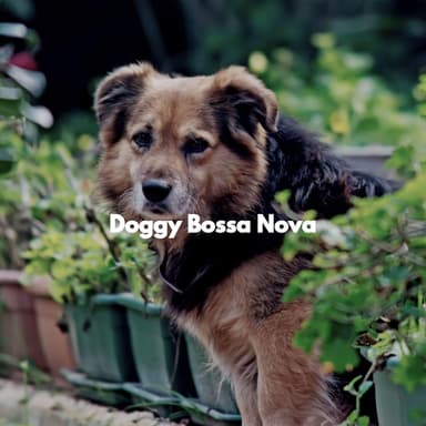 Doggy Bossa Nova