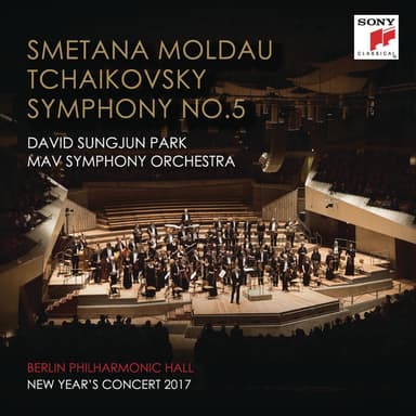 Symphony No. 5 in E Minor, Op. 64: IV. Finale. Andante maestoso - Allegro vivace