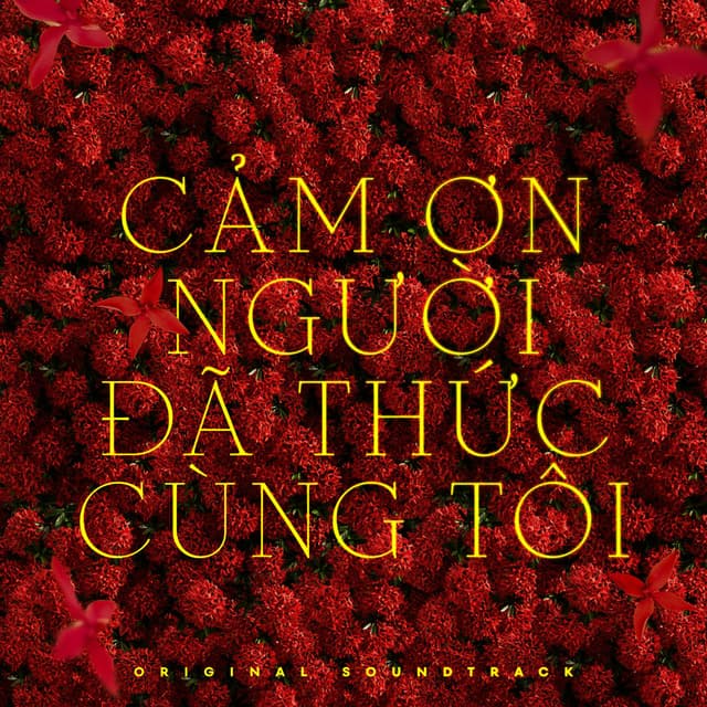 Cảm Ơn Người Đã Thức Cùng Tôi