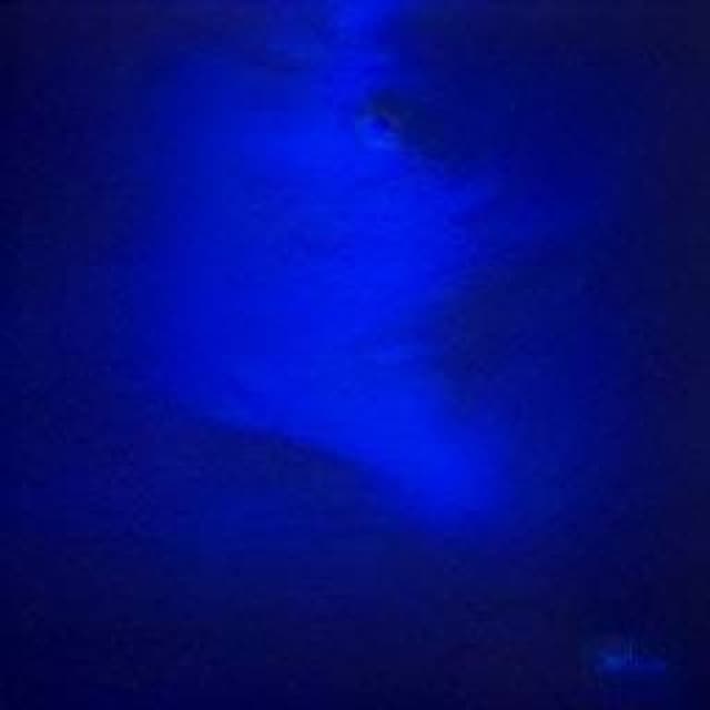 Zur blauen Stunde