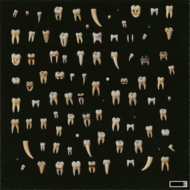 wall_of_teeth_2