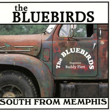 South From Memphis