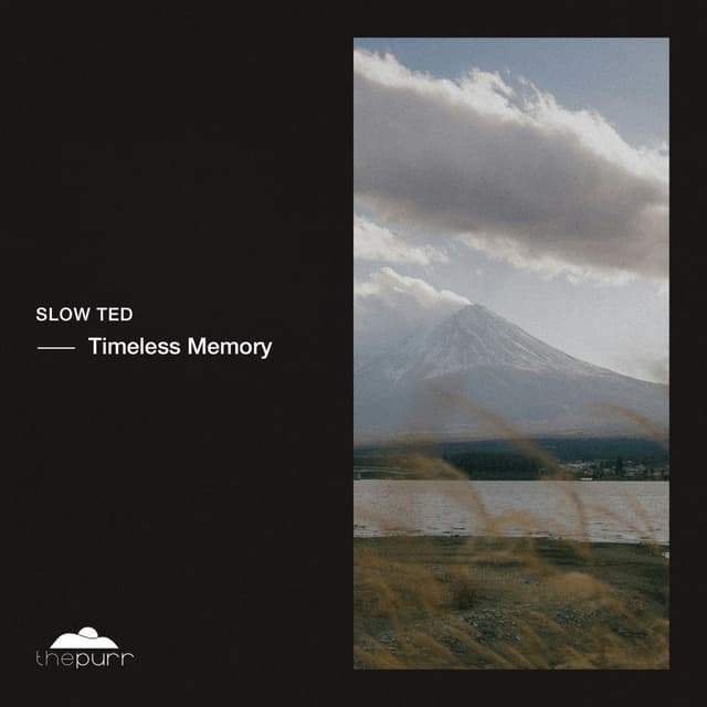 Timeless Memory