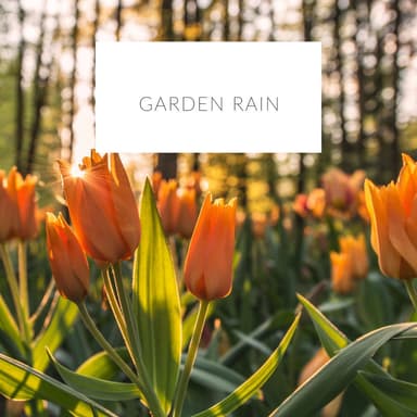 Garden Rain