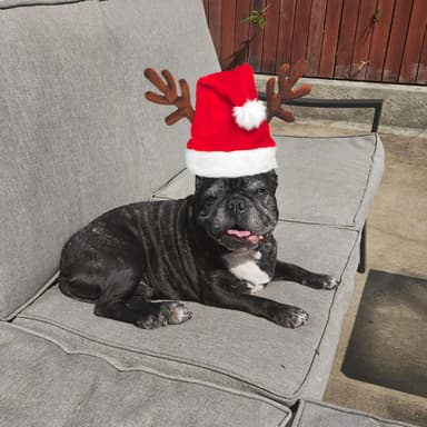 (Just Don't Call It Something Cringe Like "Santa's Slay")