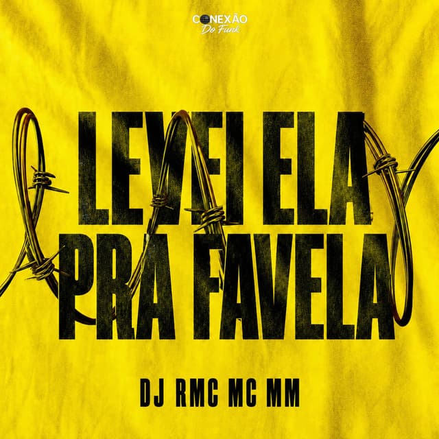 Levei Ela Pra Favela