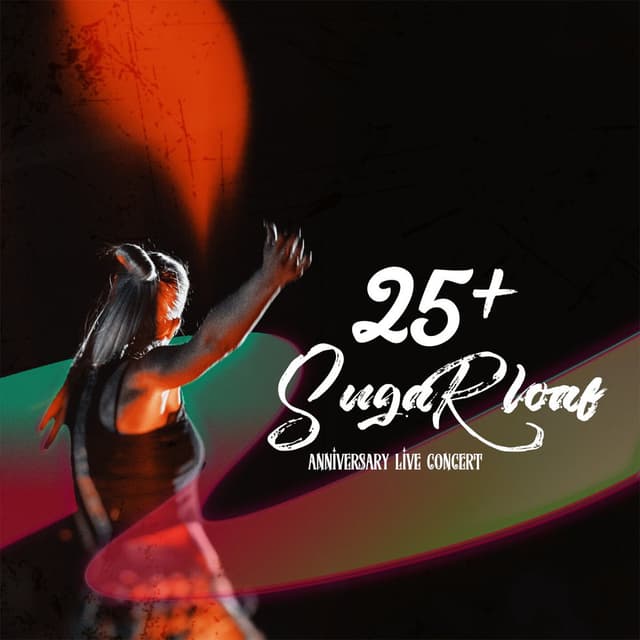 25 (Anniversary Live Concert)