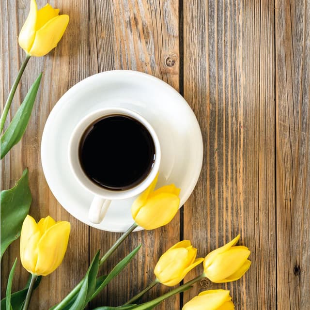 Spring Cafe