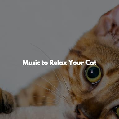 Music to Relax Your Cat
