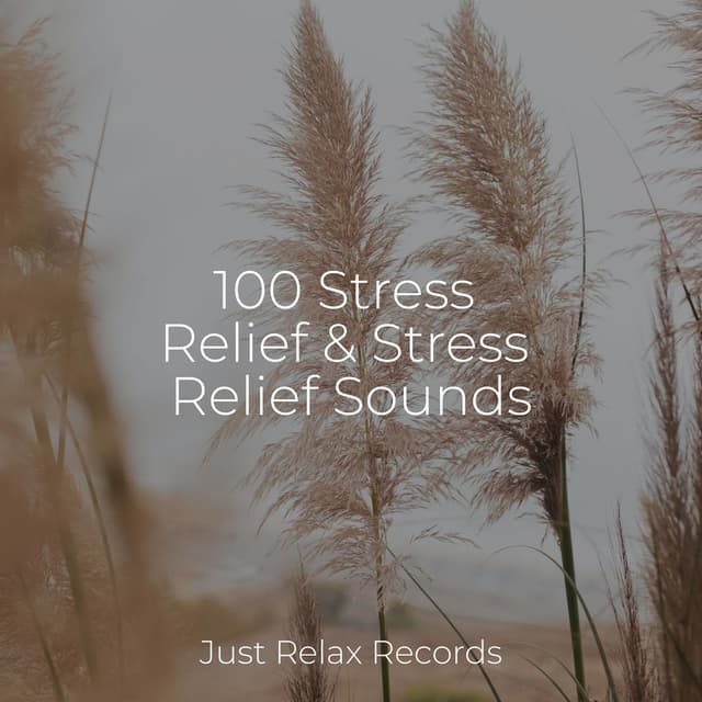100 Stress Relief & Stress Relief Sounds