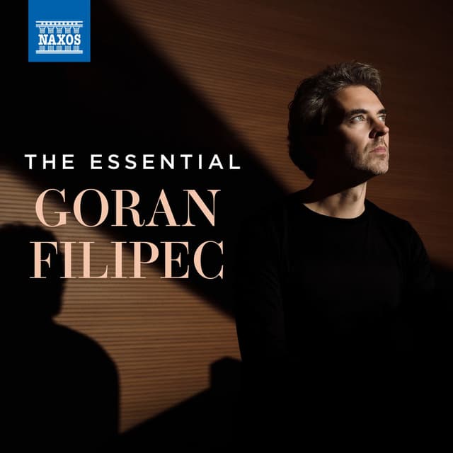 The Essential Goran Filipec