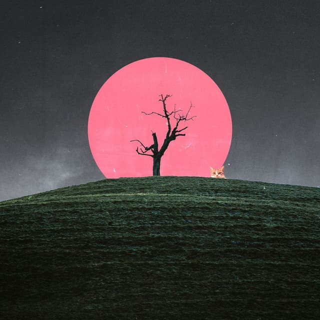 silently watching