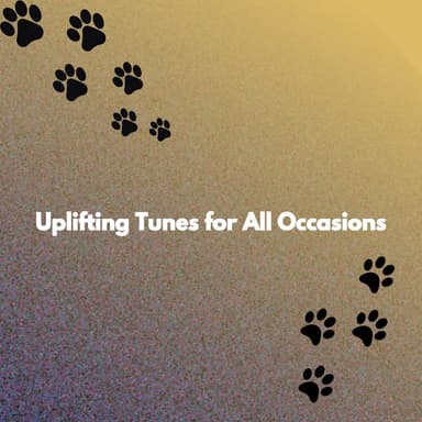 Uplifting Tunes for All Occasions