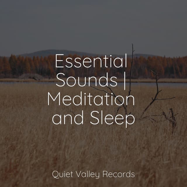 Essential Sounds | Meditation and Sleep