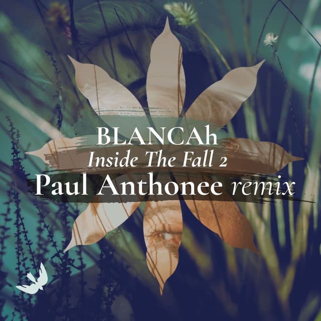 Inside the Fall 2 (Paul Anthonee Remix)