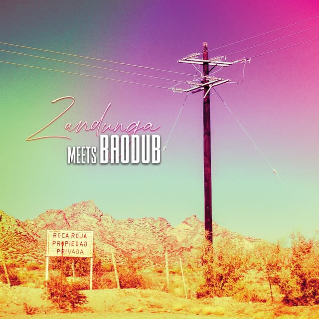 Zandunga Meets Baodub - EP