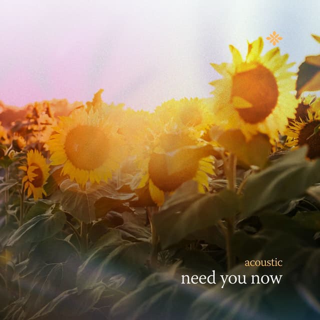 need you now (acoustic)