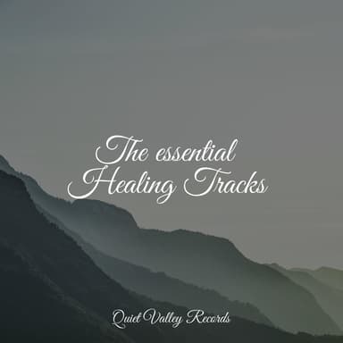 The essential Healing Tracks