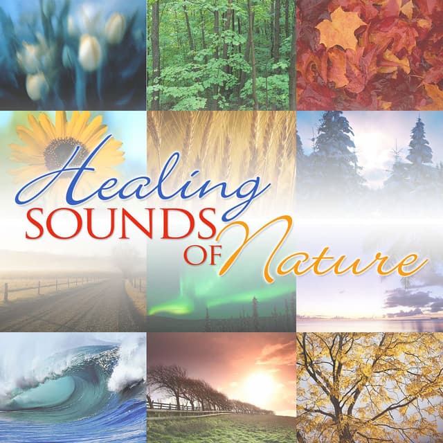 Healing Sounds Of Nature