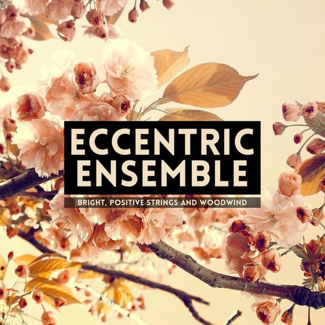 Eccentric Ensemble
