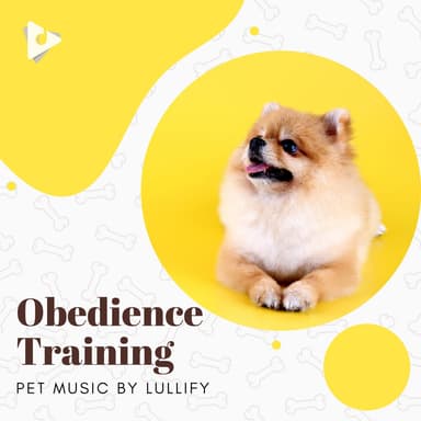 Obedience Training