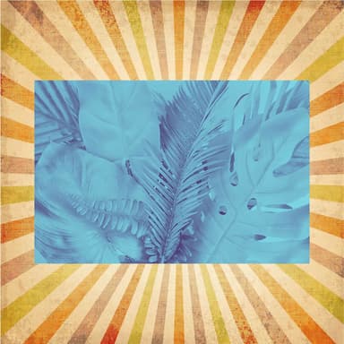 Bossa Nova Guitar (Music for Study Escapes)