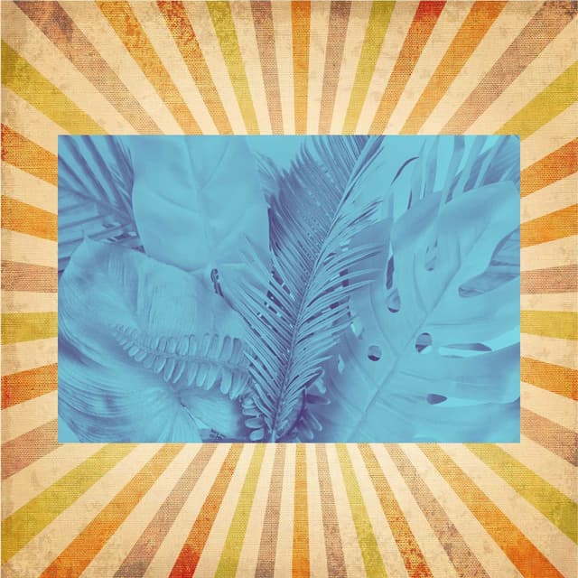 Bossa Nova Guitar (Music for Study Escapes)
