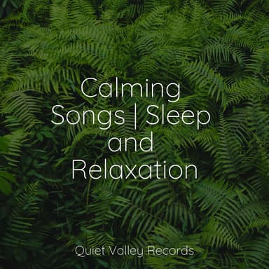 Calming Songs | Sleep and Relaxation