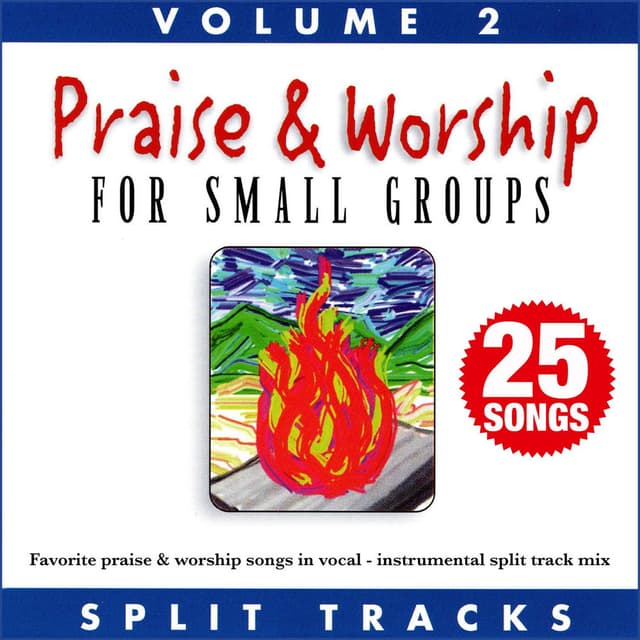 Praise & Worship for Small Groups (Whole Hearted Worship), Vol. 2 (Split Tracks)